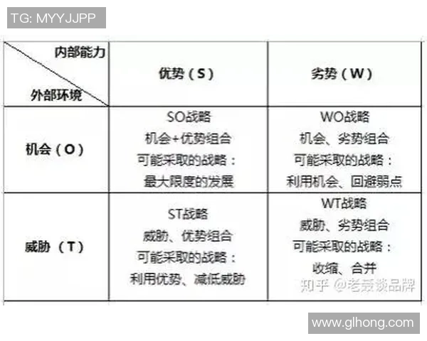 CFO与FNC在财务管理中的优势比较与战略分析